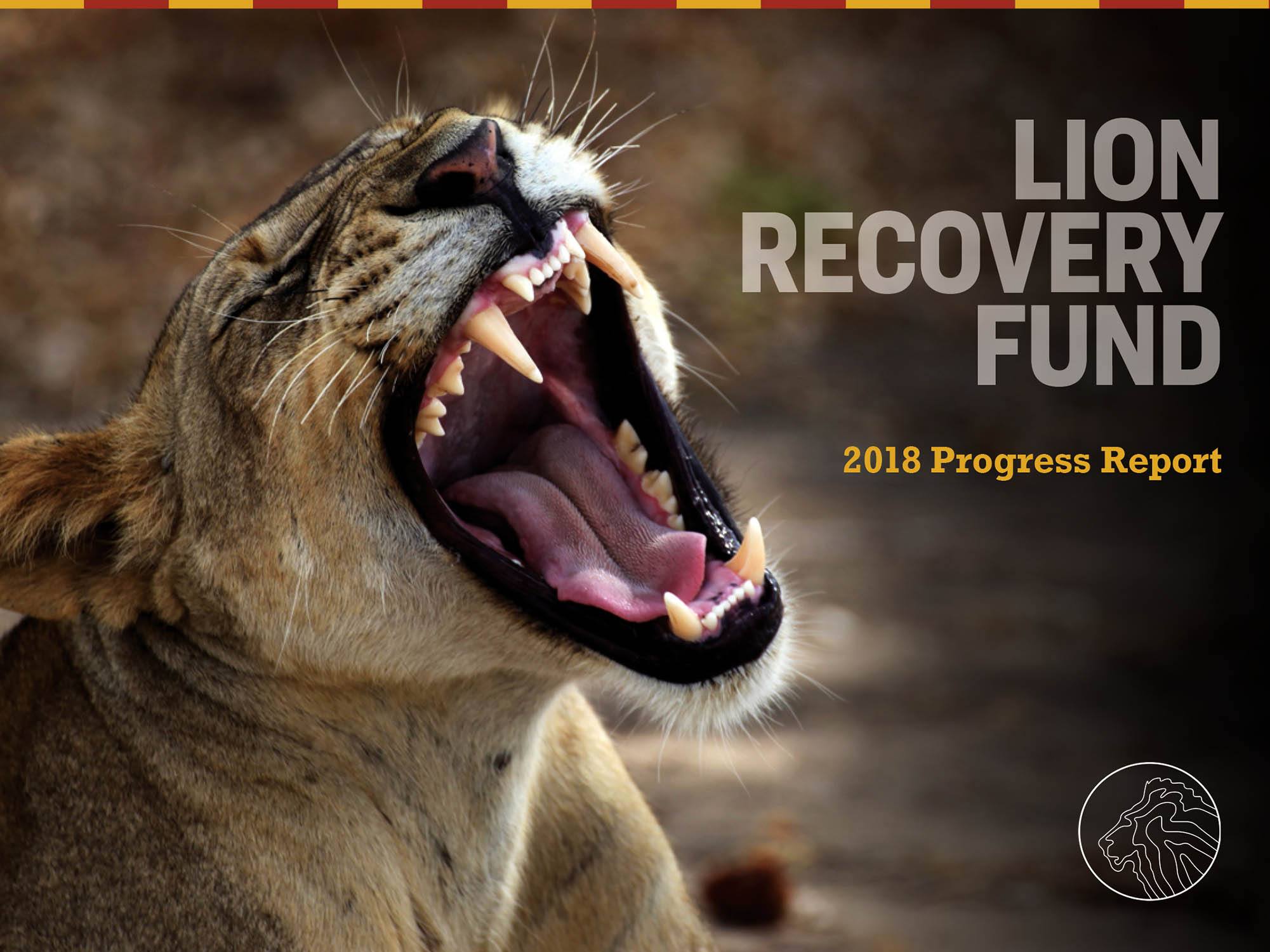 lion recovery