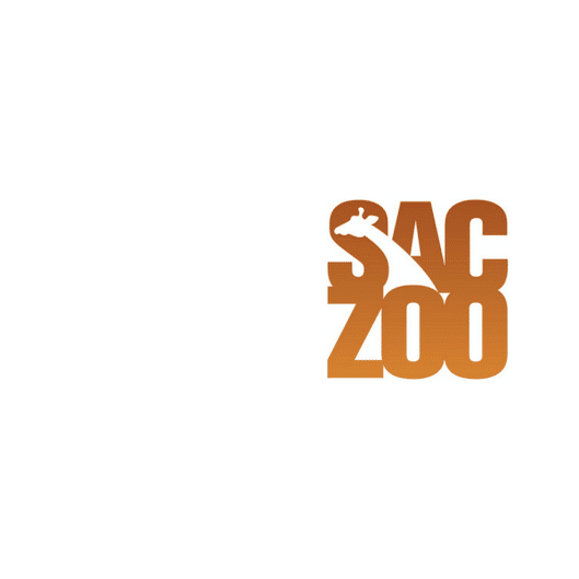 saczoo logo-right (1)
