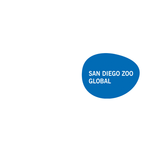san diego zoo-right