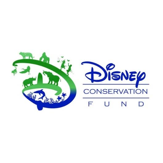 Disney Logo Center (1)