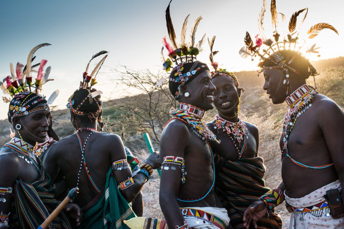 Grevy's Zebra Warriors.