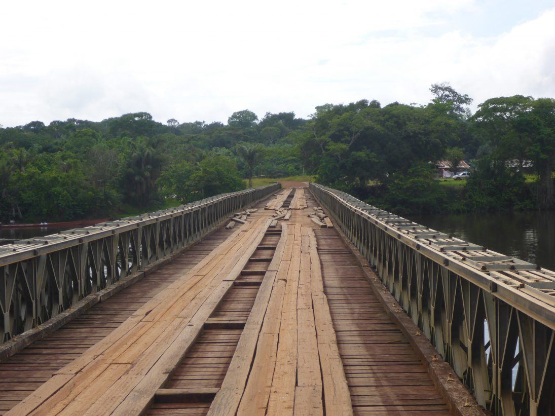 Return to Eden: Bakhuis Mountains, Suriname - Wildlife Conservation Network