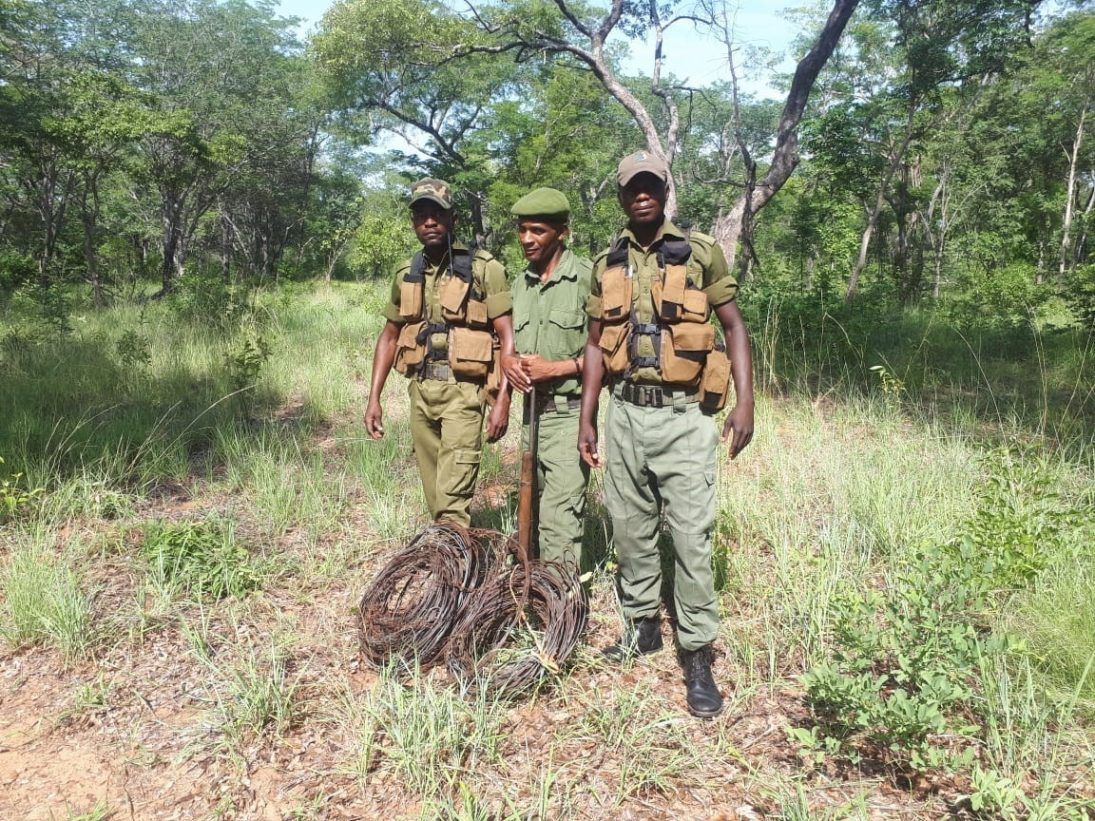 cwf antipoaching